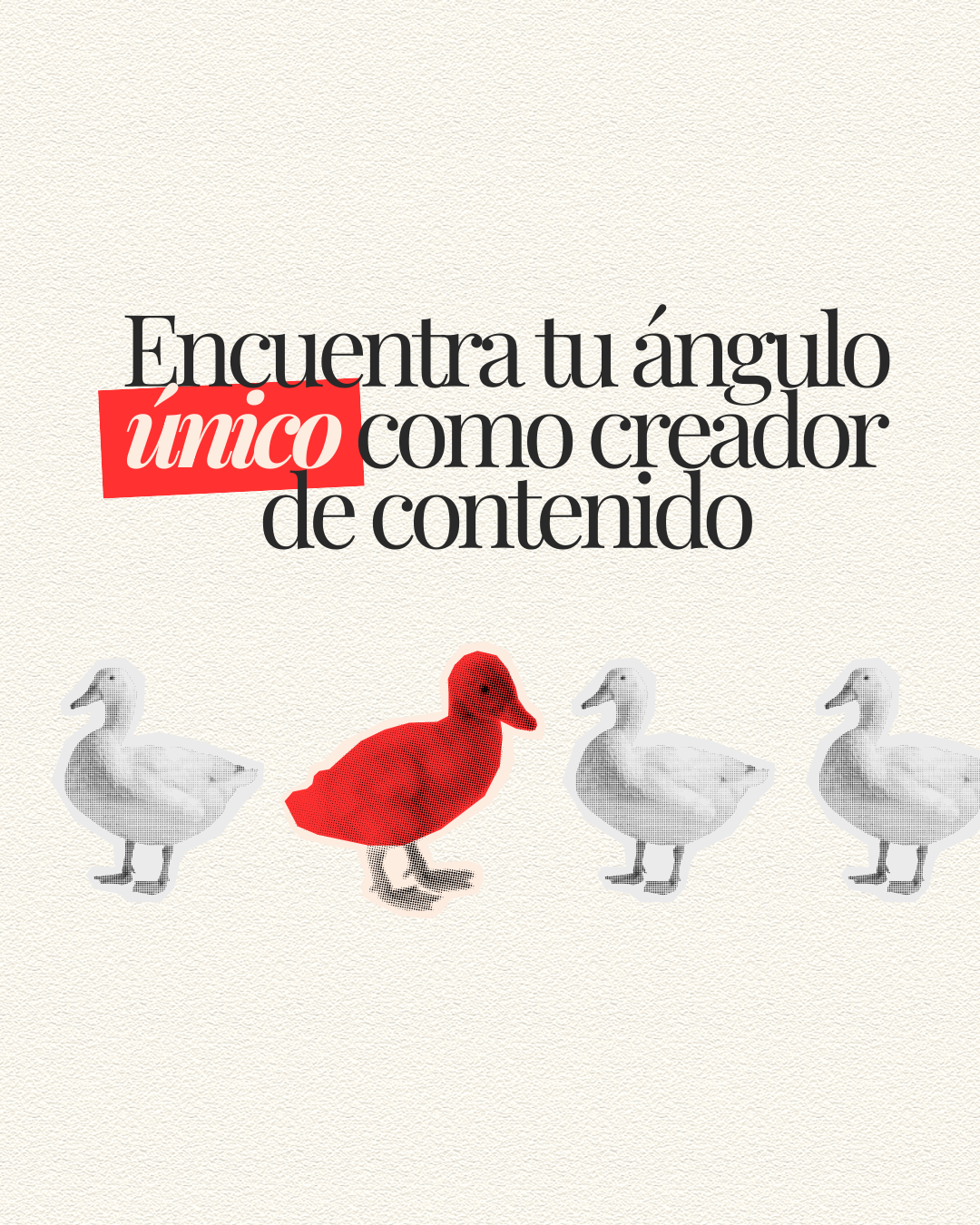 Encuentra tu ángulo único como creador de contenido